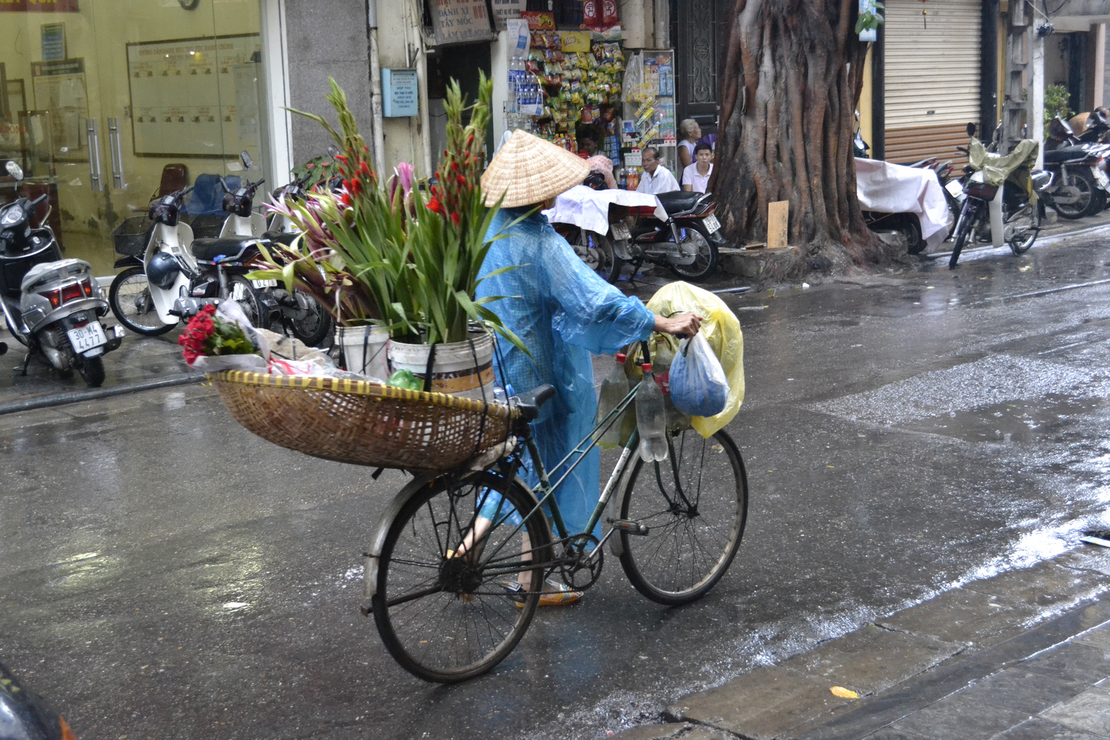4 Days From Hanoi to Halong Bay